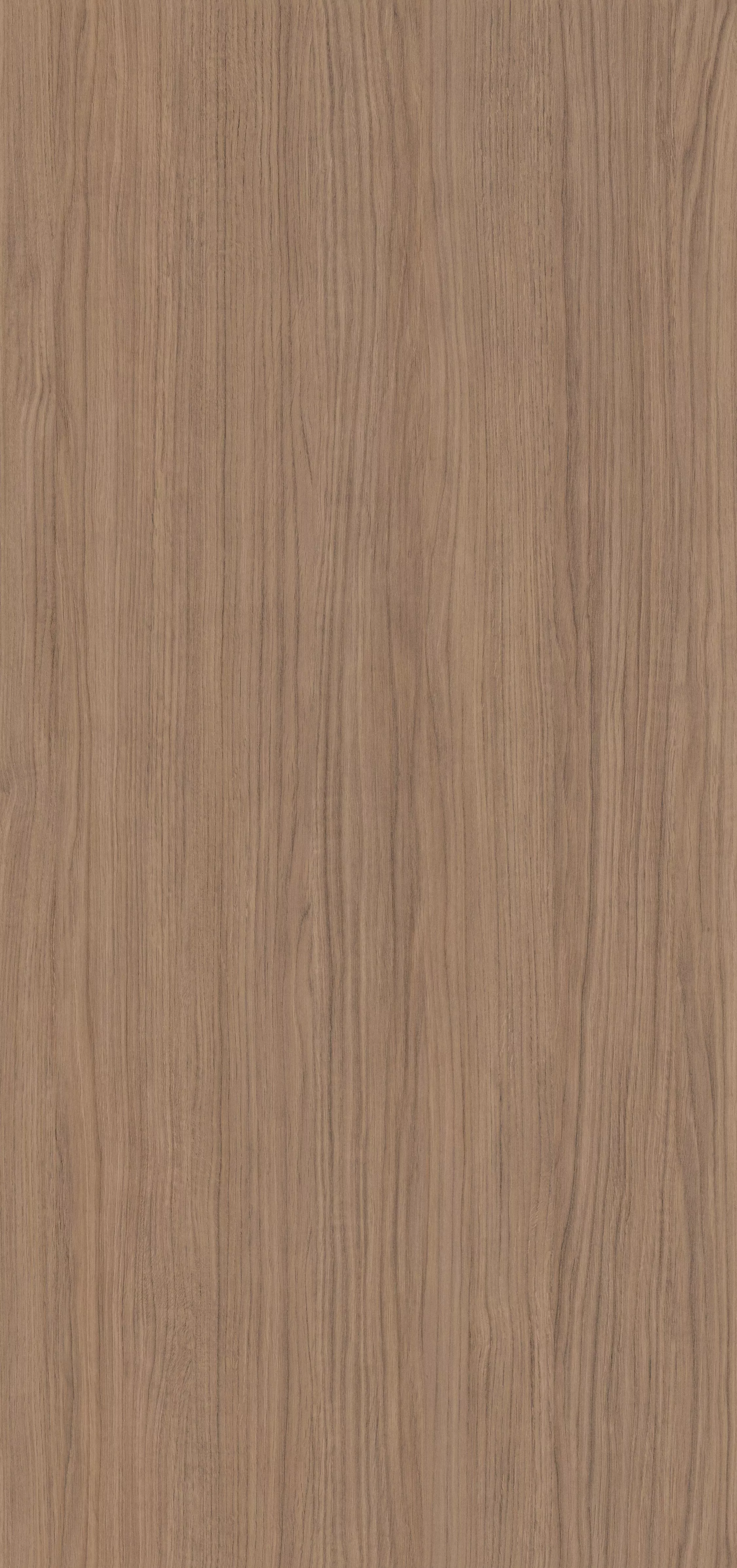 Rovere Portland