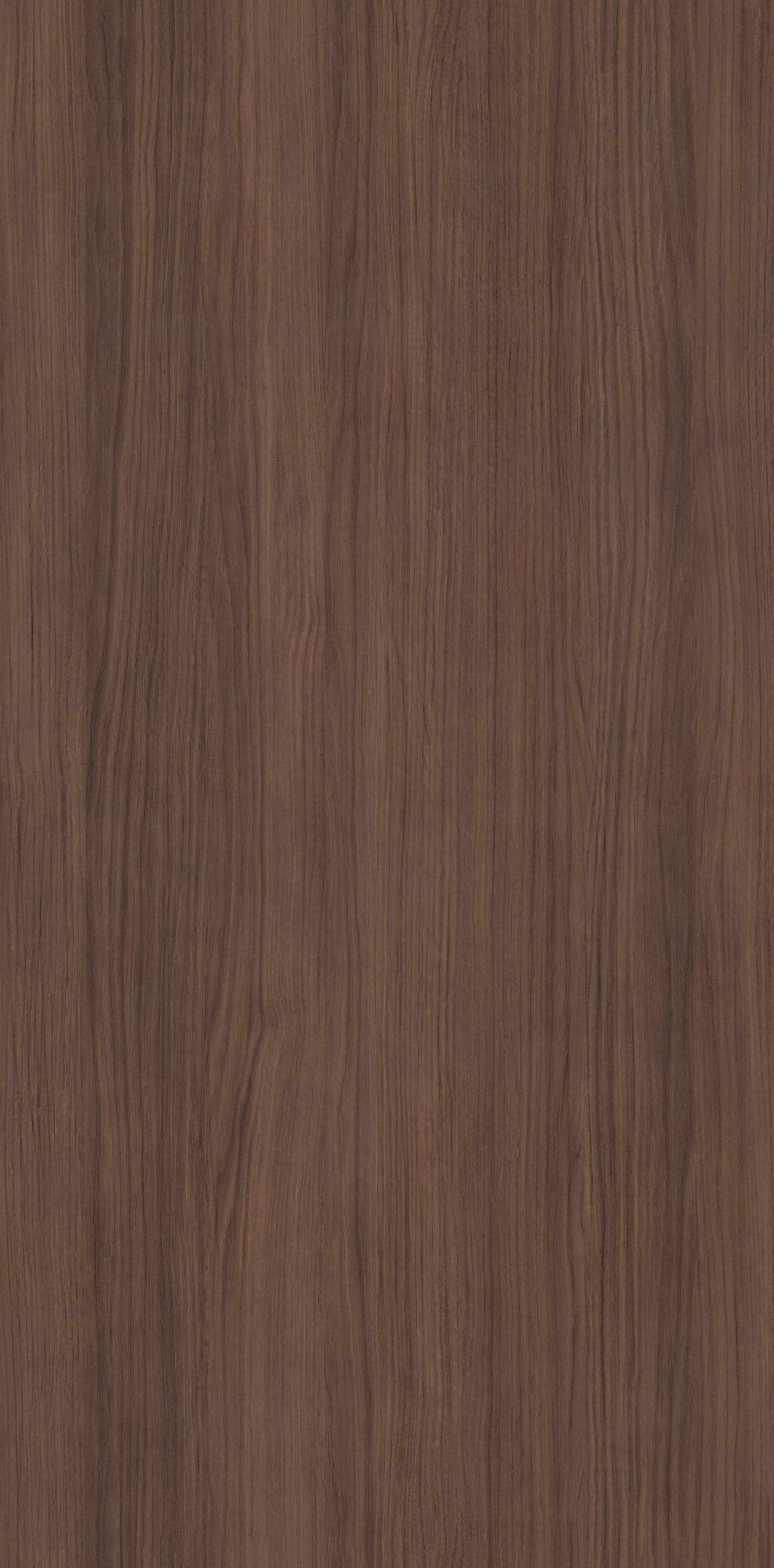 Rovere Augusta